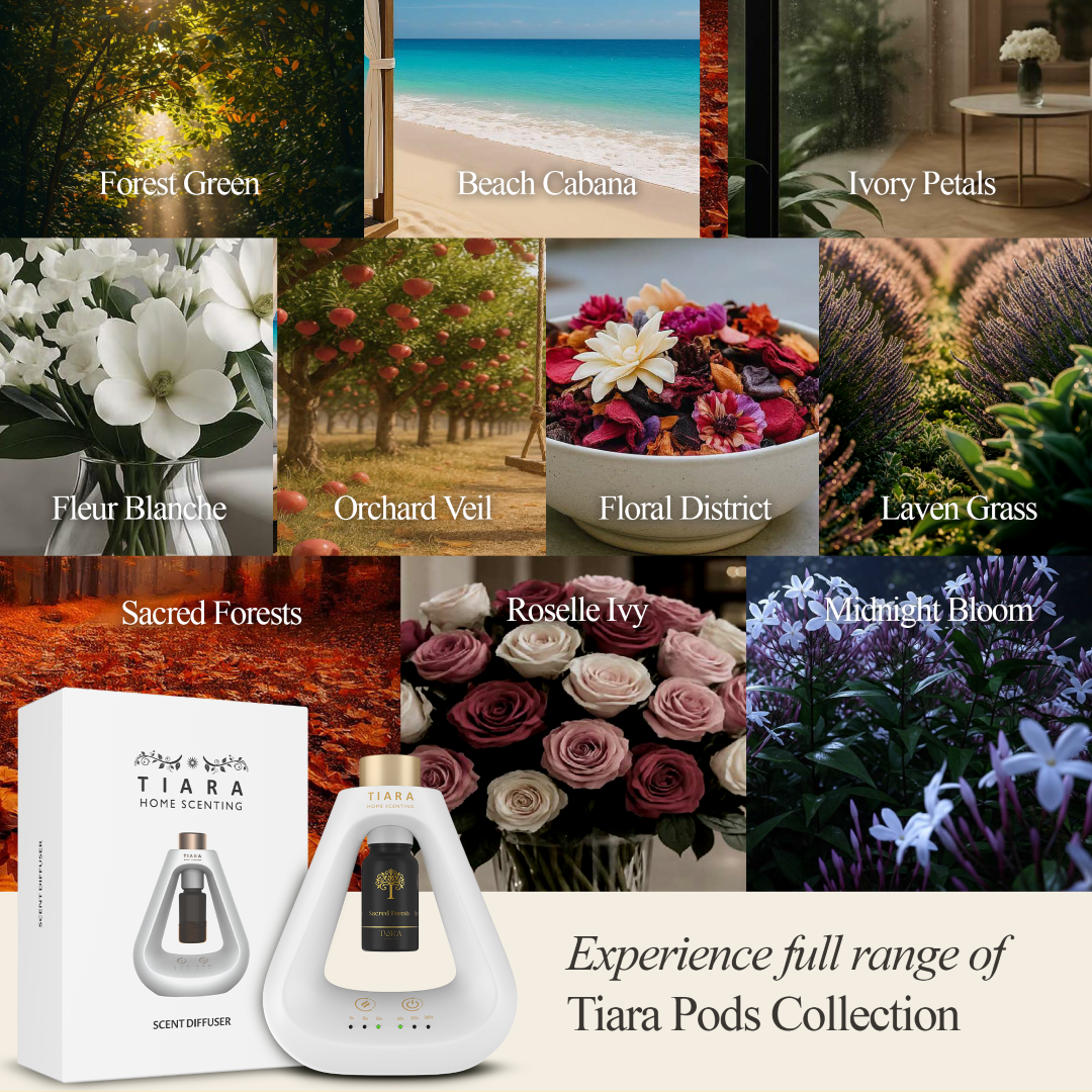 Sacred Forests Fragrance Pod with Matte Diffuser