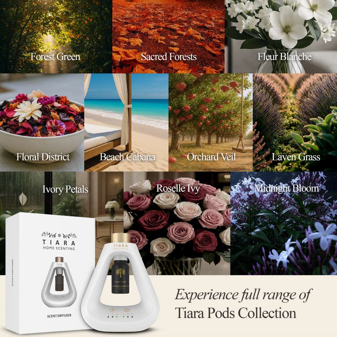 Ivory Petals Fragrance Pod with Matte Diffuser