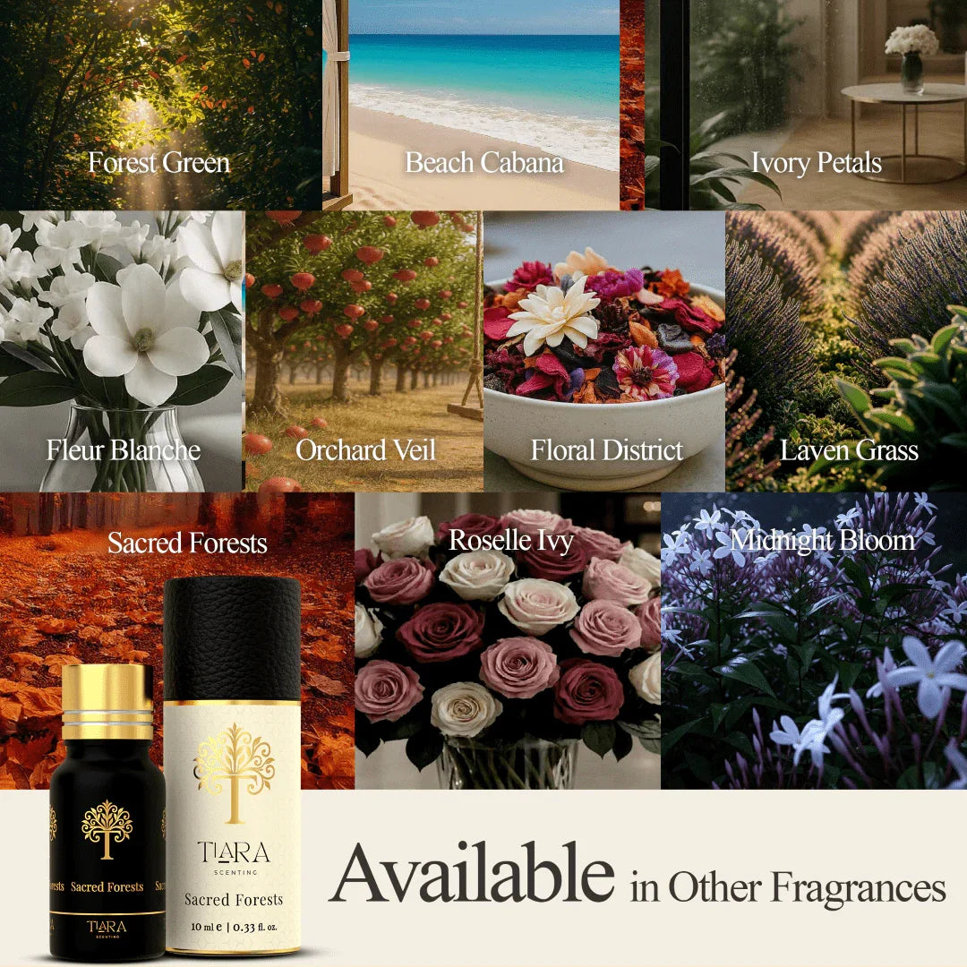 Sacred Forests Fragrance Pod