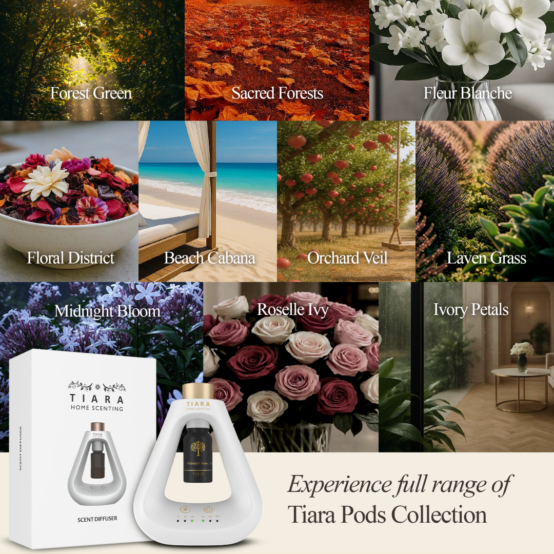 Midnight Bloom Pod with Matte Diffuser