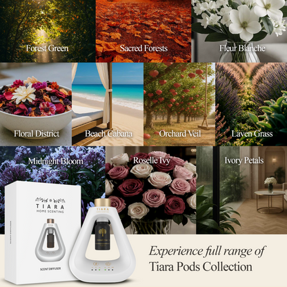 Midnight Bloom Pod with Matte Diffuser