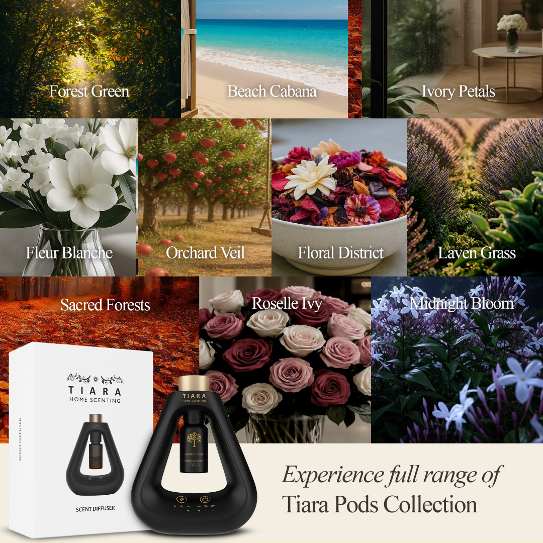 Sacred Forests Fragrance Pod with Matte Diffuser