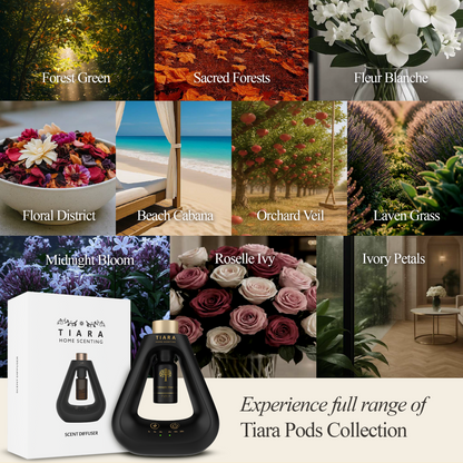 Midnight Bloom Pod with Matte Diffuser