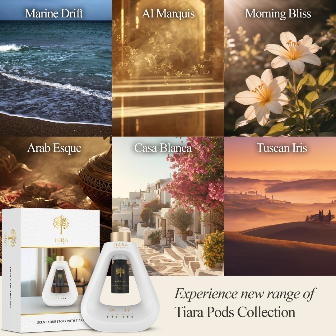 Arab Esque Fragrance Pod with Matte Diffuser